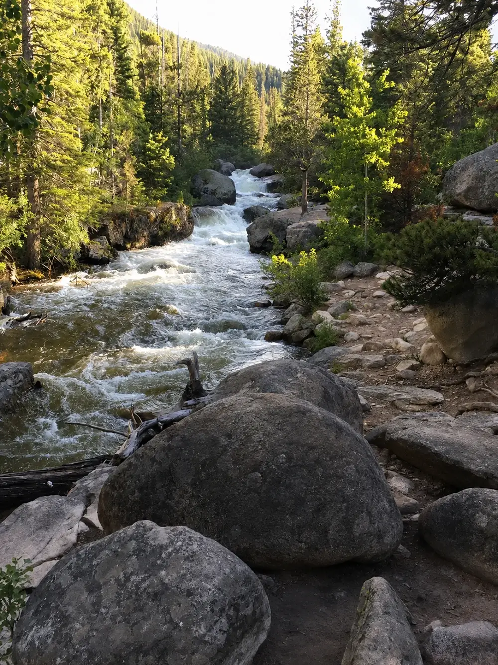 Chasing Waterfalls: Rocky Mountain National Park’s Most Scenic Cascades