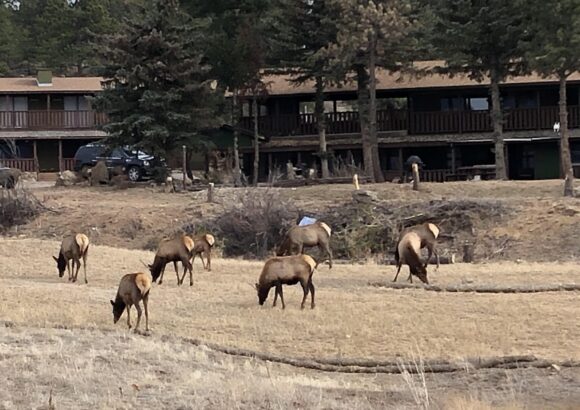 Estes Lake Lodge