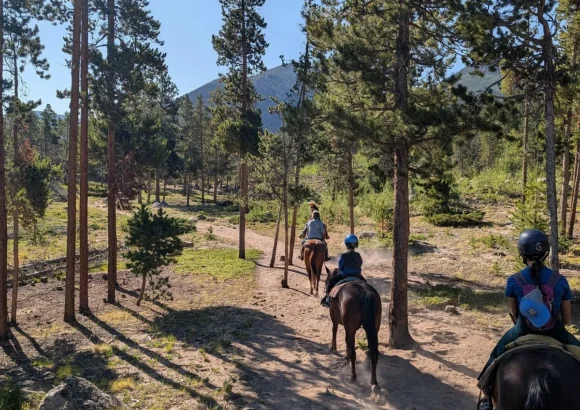 Saddle Up: Horseback Riding at Jackson Stables and Sombrero Stables in Estes Park