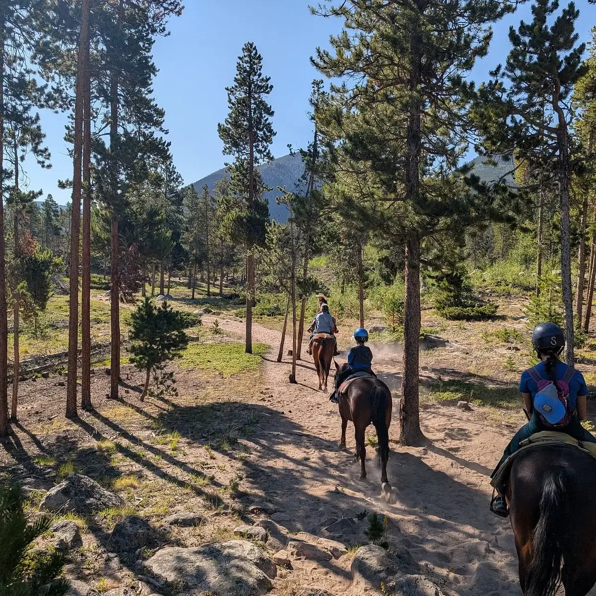 Saddle Up: Horseback Riding at Jackson Stables and Sombrero Stables in Estes Park