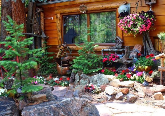 Pine Haven Cabins