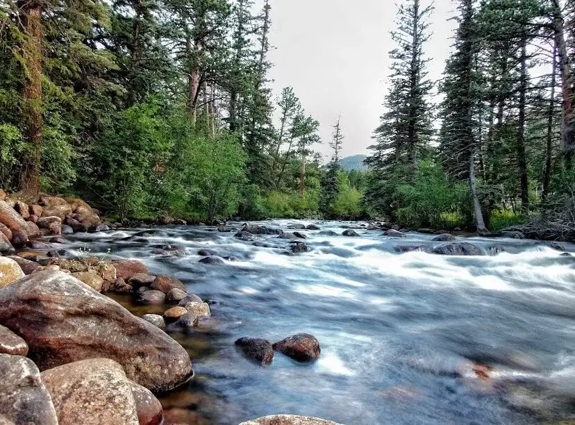 Aspen Brook