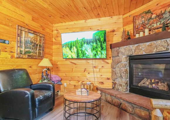 Gorgeous 2-Bedroom Modern Rustic Cabin with Views Cabin 2