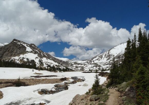 Light-Filled Cabin, Steps Away from Rocky Mtn Natl Park Entrance Year Round