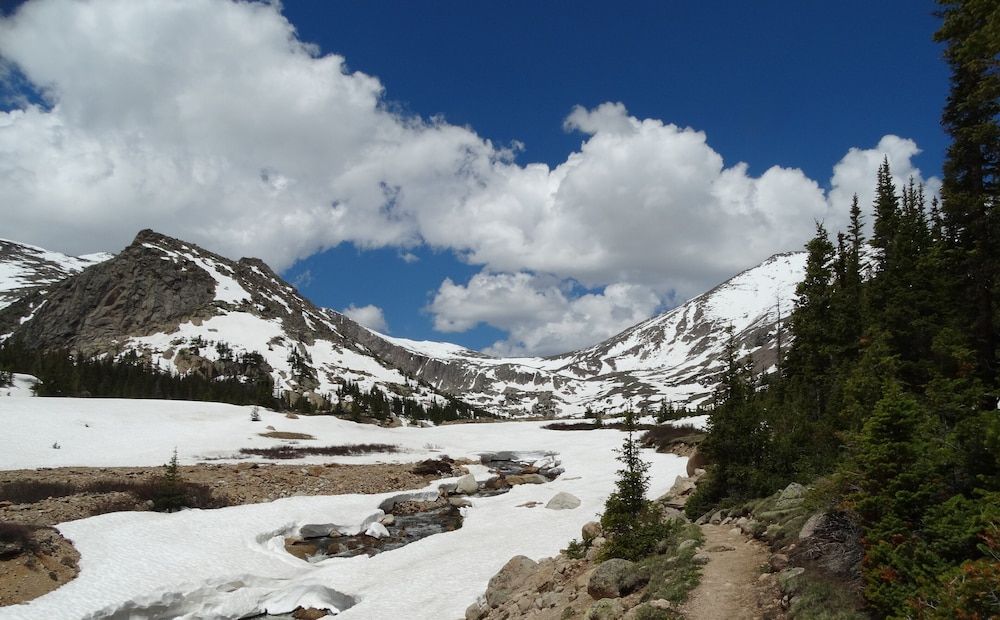 Light-Filled Cabin, Steps Away from Rocky Mtn Natl Park Entrance Year Round