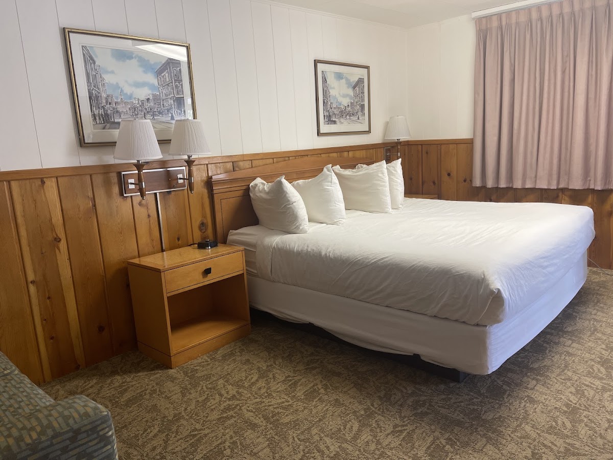 Saddle & Surrey Motel