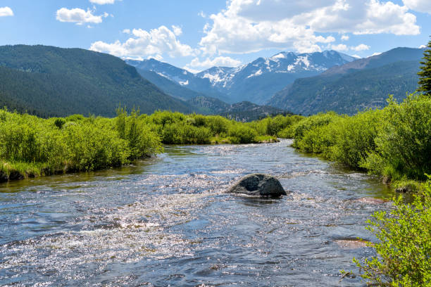 Mountain river flowing through lush green landscape