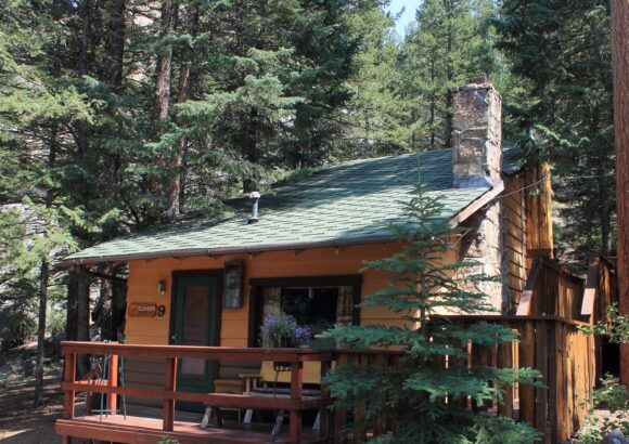 Elkhorn Cabin