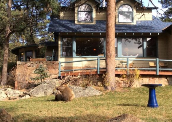 Riversong Inn Retreat – Suite with Mountain View