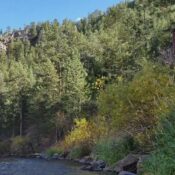 Rustic River Cabins