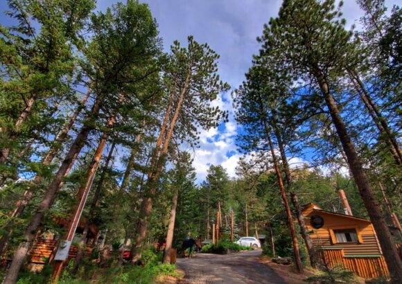 The Lodge
