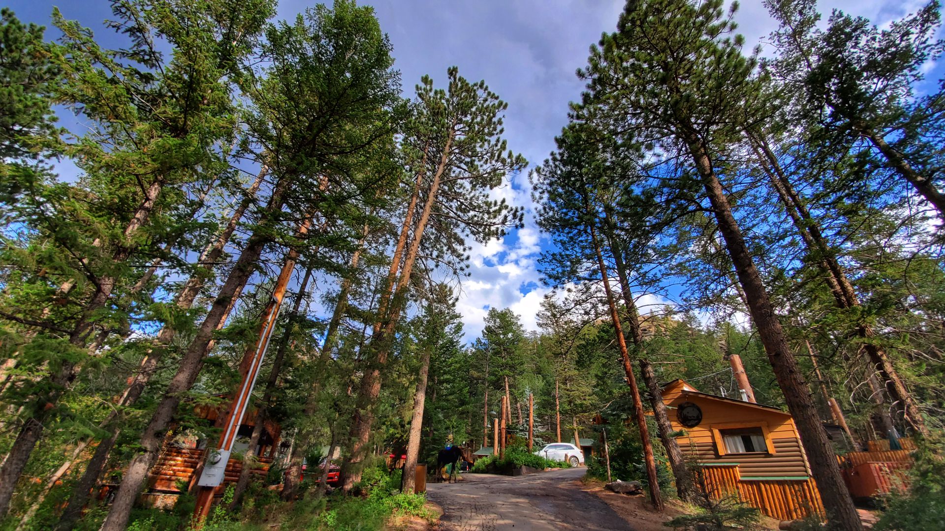 The Lodge