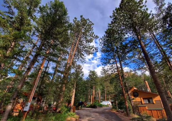 Tranquil Solitude Cabin – Spectacular Views, Cozy Comfort