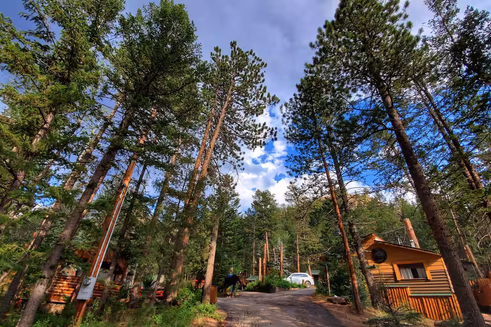 Tranquil Solitude Cabin – Spectacular Views, Cozy Comfort